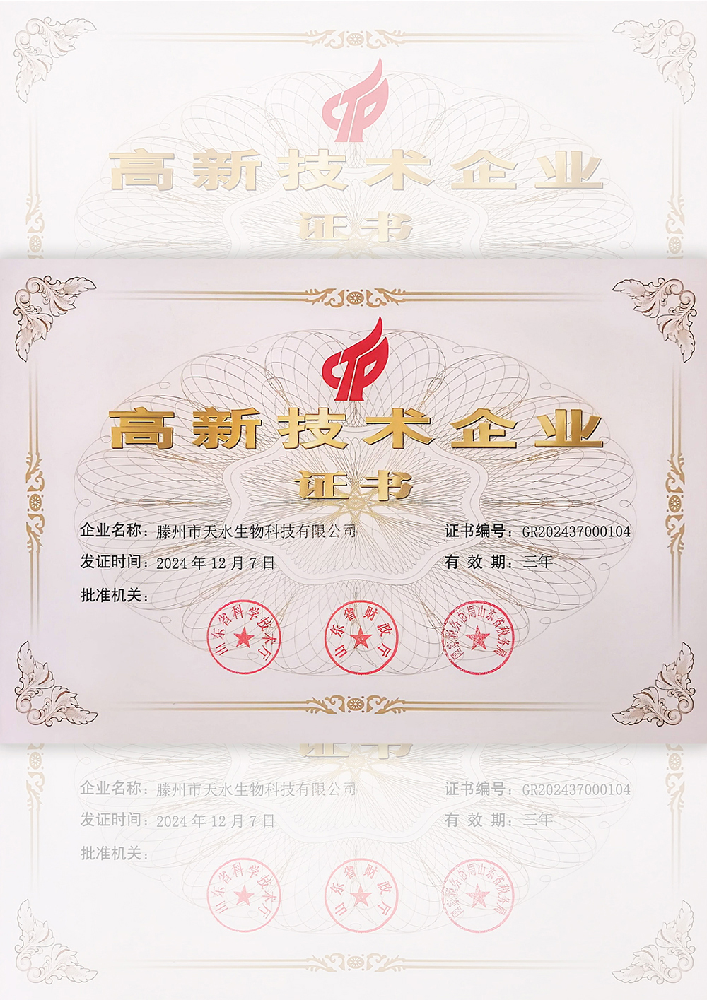 资质荣誉